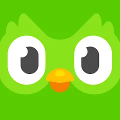 تحميل برنامج الدولينجو بلس Duolingo مهكر أخر إصدار 2027 مجاناً